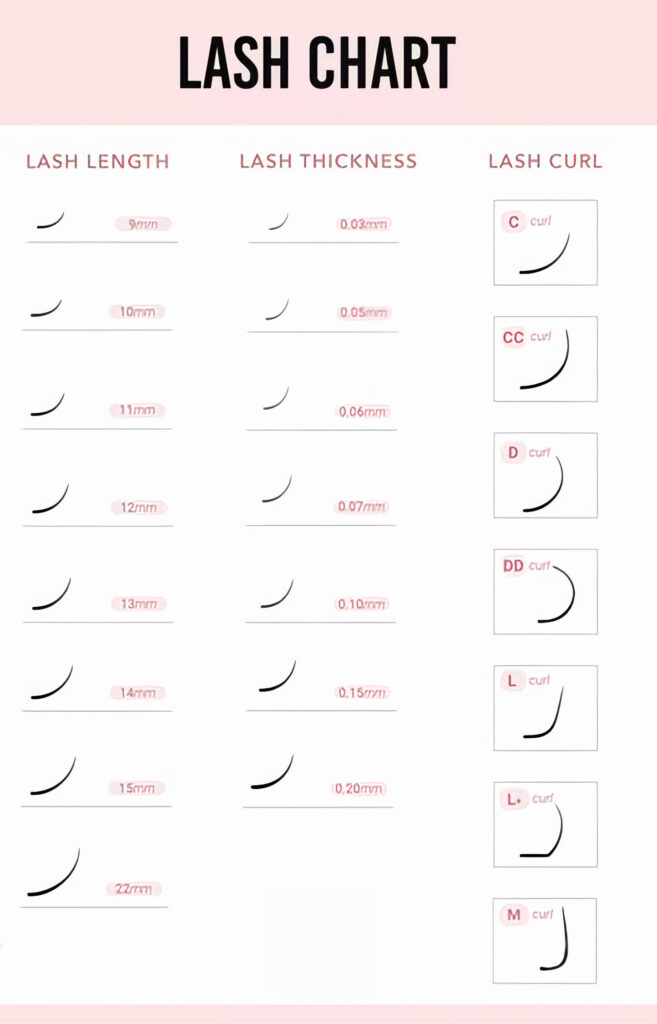 lash curl chart